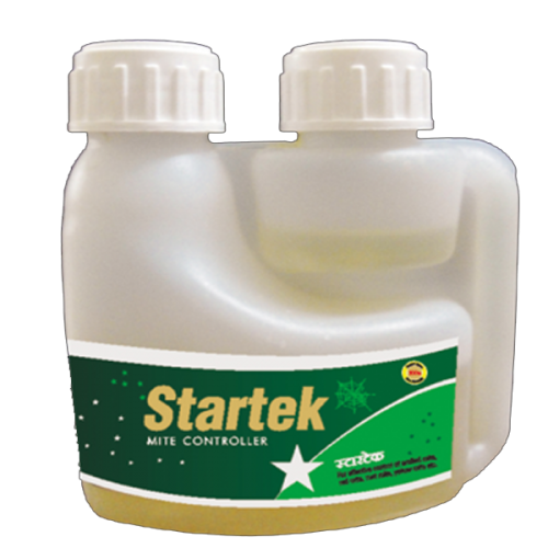 Startek